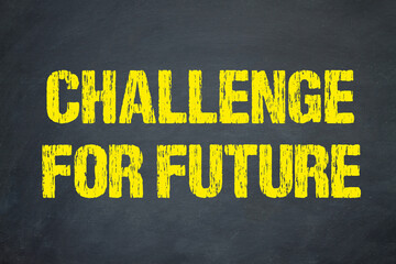 Challenge for Future