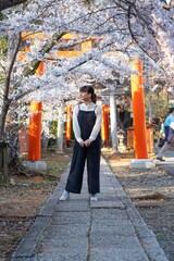 Young woman exploring Kyoto during cherry blossom season. 