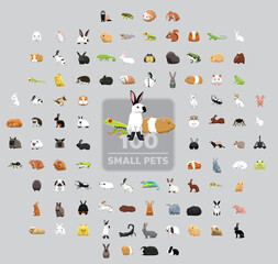 One Hundred Small Pets Cartoon Vector Illustration Set