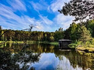 Fototapeta premium reflection of trees in the lake