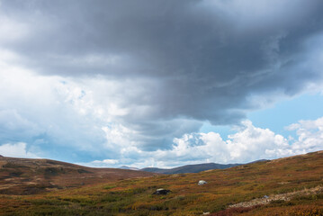 Beautiful autumn landscape of high mountain plateau under dramatic cloudy sky. Fading autumn colors in mountains in overcast. Atmospheric mountain scenery of tableland under clouds in rainy weather.