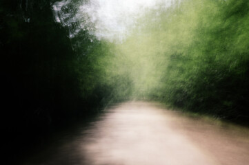 ICM - abstract blurred motion view of a lane in a park