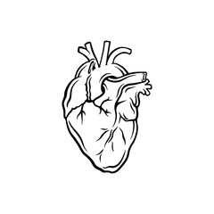 Heart icon vector.