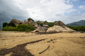 Fototapeta na wymiar Orchid island in Nha Trang bay