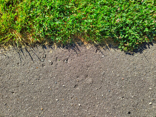 Gray asphalt road and green grass. Symbol of the capture of nature.