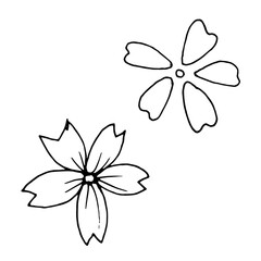 Illustration of flowers. Sketch of a Japanese cherry tree. Hand-drawn Japanese plum line