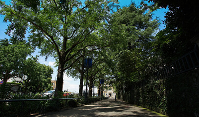 Obraz premium alley in the sidewalk