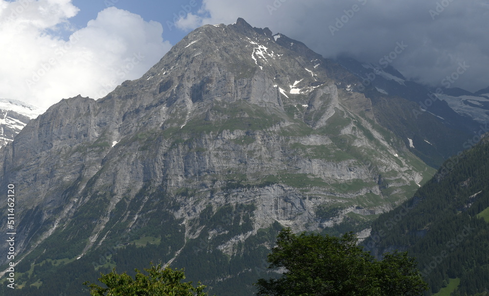 Wall mural Grindelwald