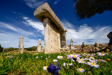 Santuario talayótico de Talatí de dalt, recinto de Taula. Migjorn.Menorca.Baleares.España. © Tolo