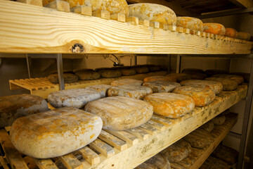 Fabricacion de queso artesano.Es Tudons. Ciutadella.Menorca.Islas Baleares.España.