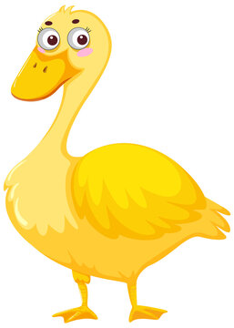 Duck cartoon character on white background