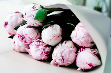 Peony bouquet laying in gift packaging stock photo