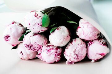 Beautiful Sarah Bernardt Peony bouquet for woman stock photo