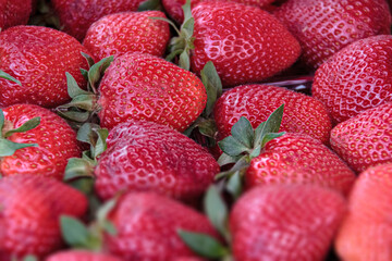 Strawberries background. Red Fresh Strawberry. Food background.