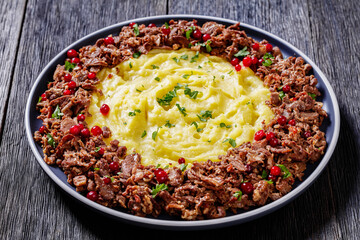 Reindeer Stew with Lingonberries and potato puree