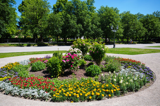 Hofgarten in Munich, blue sky, blooming plant, tourist hotspot