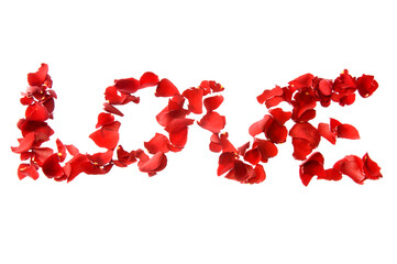 LOVE Written with Red Rose Petals on White