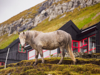 Faroe Islands