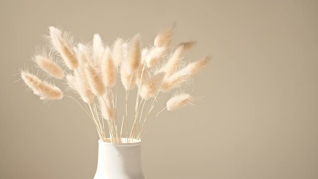 The movement of golden spikelets in the wind. Sunlight soft light and shadows from the transparent curtain, tulle. Space for text. Product presentation, mockup for advertising. High quality 4k footage