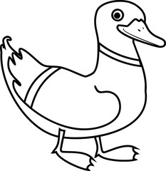 Coloring page with cartoon male mallard (Anas platyrhynchos) isolated on white background