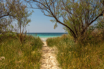 wąska piaszczysta ścieżka prowadząca na piękna plażę © Kamil_k2p