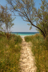 dzikie wejście na plaże wąską piaszczystą ścieżką