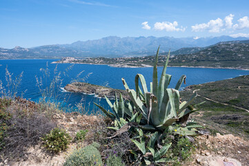 Vue sur Calvi depuis la presqu'île de la Revellata, Balagne, Corse