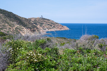 Vue sur le phare de la presqu'île de la Revellata, Calvi, Balagne, Corse - 511479181