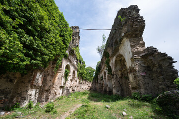Ruines du couvent Saint François d'Orezza, Piedicore, Castagniccia, Haute Corse - 511479314