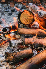 Płonące kawałki drewna sosnowego w ognisku