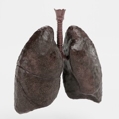 Realistic 3D Render of Smoker Lungs