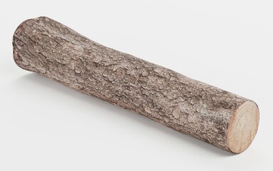 Realistic 3D Render of Tree Log