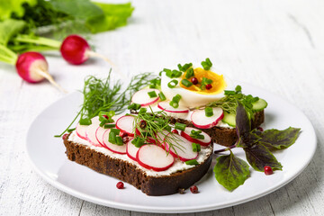 Healthy sandwiches with radish, cucumber, egg, curd cheese, sprinkled with green onions and pink pepper. Copy space