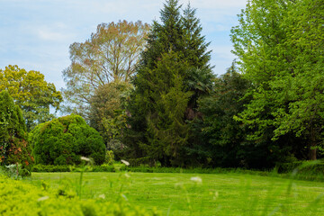 Green trees and green grass in a spring park on a sunny day