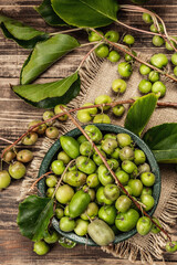Harvest of ripe Actinidia arguta kiwi in a ceramic bowl