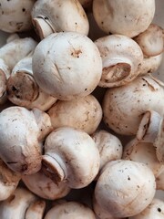 Champignons background. Mushrooms pattern. Vegetables that replace meat.