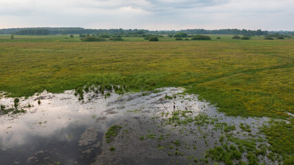 Flooded meadows cloudy sky