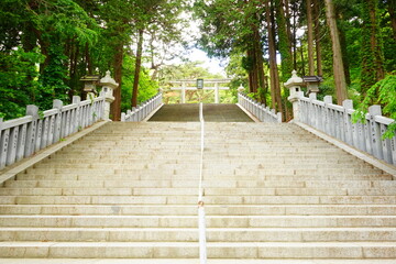 日本 北海道 函館八幡宮 鳥居 参道