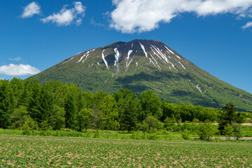 北海道　初夏の羊蹄山の風景