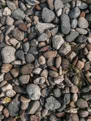 Vertical photo for background design with different small stones and plants among it. Natural texture shot for wallpaper, decoration backdrop, little objects