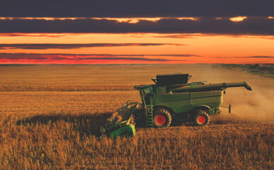 Harvester on sunrise on breadbasket. Wheat harvesting on sunset. Wheat and corn markets in world...