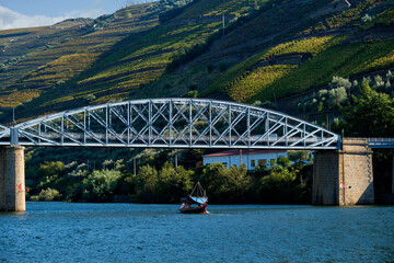 Pinhao bridge and terraced vineyards in Douro Valley Alto Douro in Pinhao, Portugal
