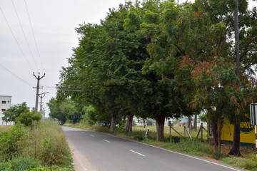 Fototapeta na wymiar View of a long road