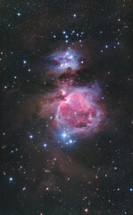 Orion Nebula