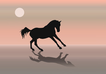 Obraz na płótnie Canvas isolated silhouette of a horse galloping along the seashore against the sky