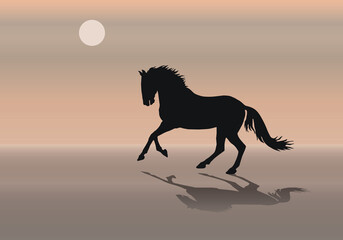 isolated silhouette of a horse galloping along the seashore against the sky