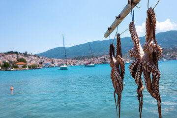 Freshly caught Octopus on display on Poros island Greece