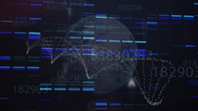 Animation of digital screen with biological data and globe on black background