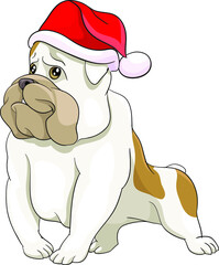 standing smiling dog in santa hat waiting for gifts, holidays, hope, joy, waiting