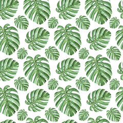 Watercolor seamless pattern with monstera palm leaves, tropical summer background.